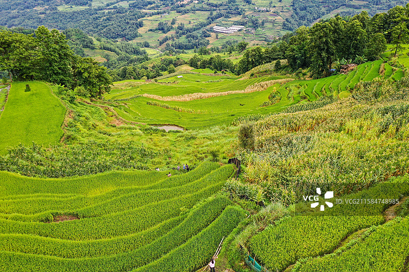 云南元阳哈尼梯田航拍风光图片素材
