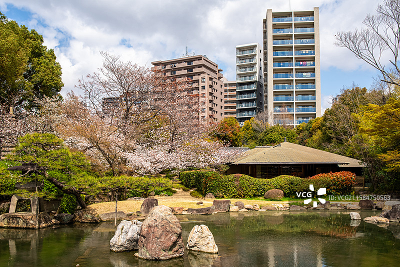 日本大阪佛教和宗总本山四天王寺本坊庭园和都市背景风光图片素材