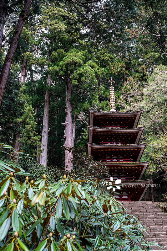 日本奈良县宇陀市真言宗本山“女人高野”室生寺国宝五重塔的春日风光图片素材