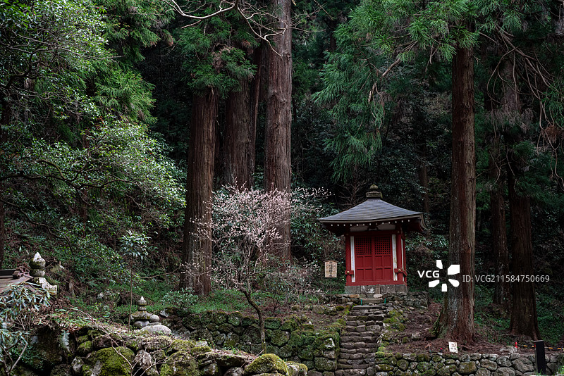 日本奈良县宇陀市真言宗本山“女人高野”室生寺春日的林间风景图片素材