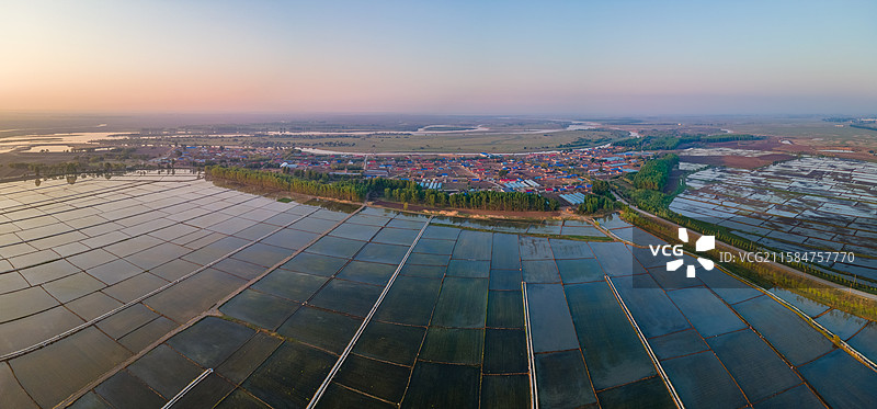 水稻田与村庄图片素材