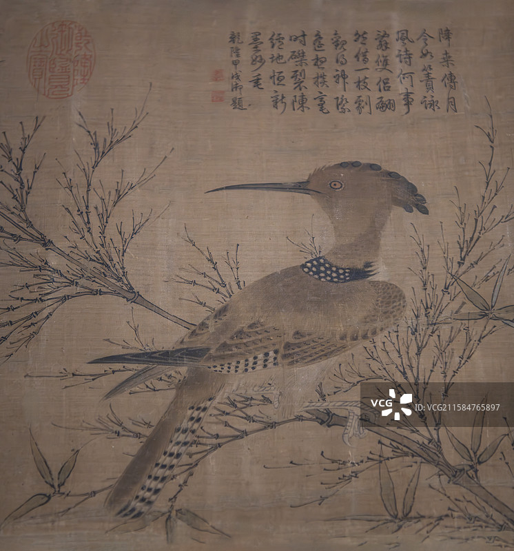 故宫博物院万物和生特展--幽篁戴胜图卷（元代，赵孟頫）图片素材