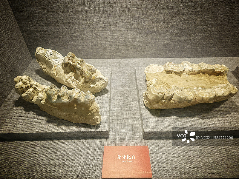 红河州博物馆藏品图片素材