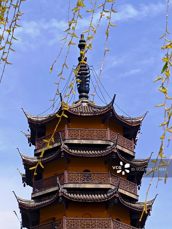 柳影拂塔，古韵春姿图片素材