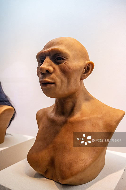 南京直立人化石博物馆南京人复原图片素材