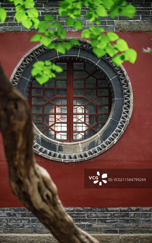 中国非都市风光拍摄主题，古代建筑风格，逆光拍摄南蛇藤树透明的树叶叶脉，户外白昼无人图像摄影图片素材