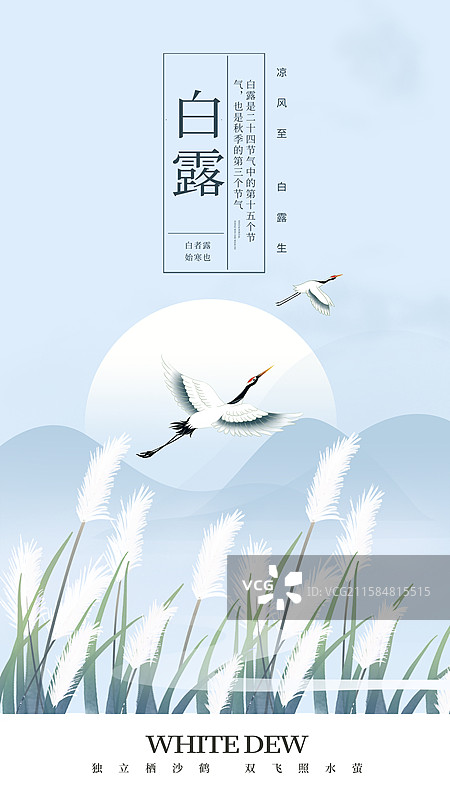 中国风二十四节气系列插画海报模版-秋天 秋日户外风景 风吹白色芦苇荡山水画 国风山水意境 竖版图片素材