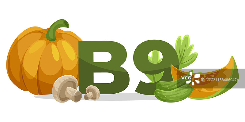 富含维生素B9的健康食品图片素材