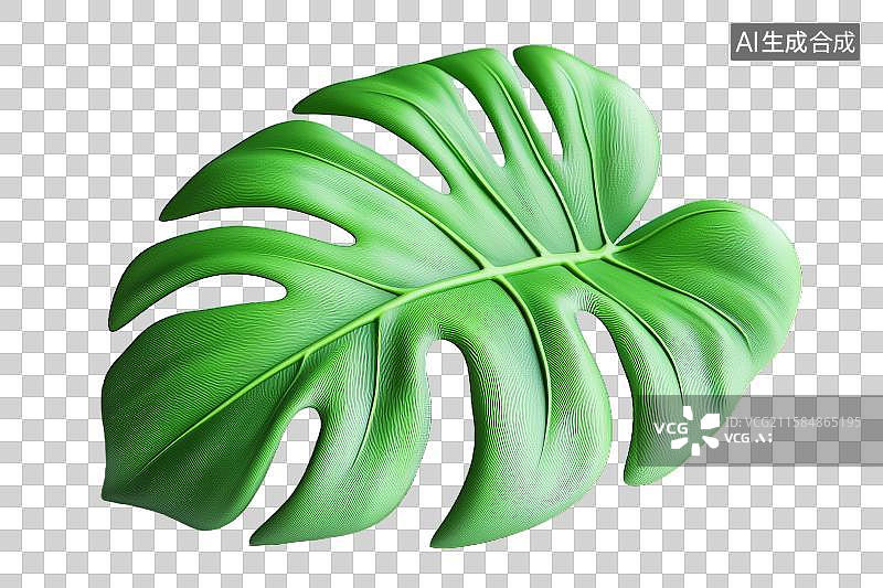 【AI数字艺术】绿色龟背竹叶片特写图片素材