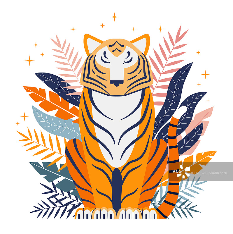 印度国兽：皇家孟加拉虎图片素材