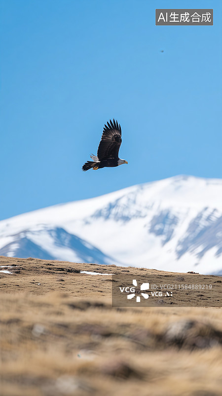 【AI数字艺术】翱翔雪山之巅的雄鹰——搏击长空的苍鹰图片素材
