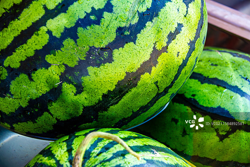 清凉一夏：水中冰镇西瓜图片素材