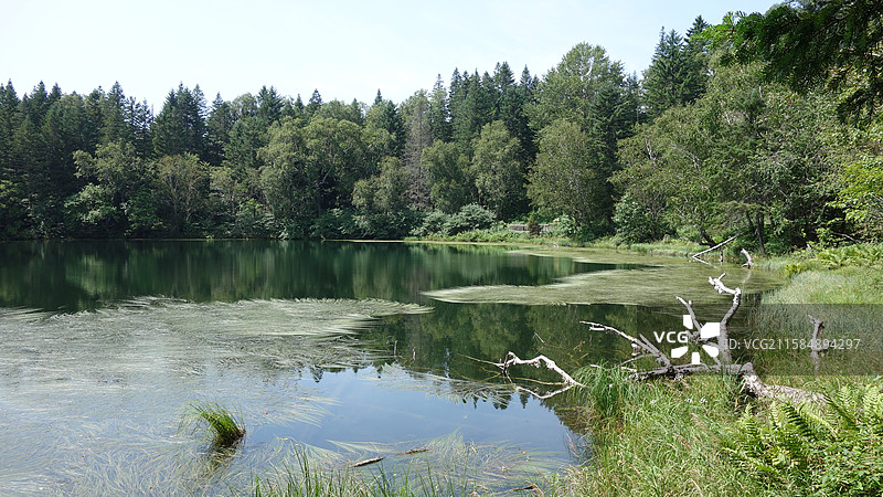 吉林省白山市抚松县松江河镇长白山西坡景区：王池图片素材