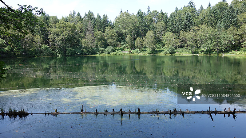 吉林省白山市抚松县松江河镇长白山西坡景区：王池图片素材