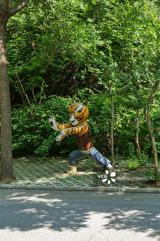 山东济南金象山乐园雕塑“悍娇虎”图片素材