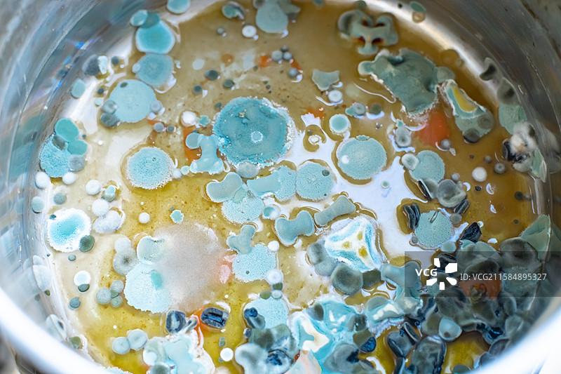 中国不锈钢盆子正在腐败长毛变质彩色腐烂的食物，发霉细菌病毒黄曲霉素彩色致癌症物样本，室内无人图像摄影图片素材