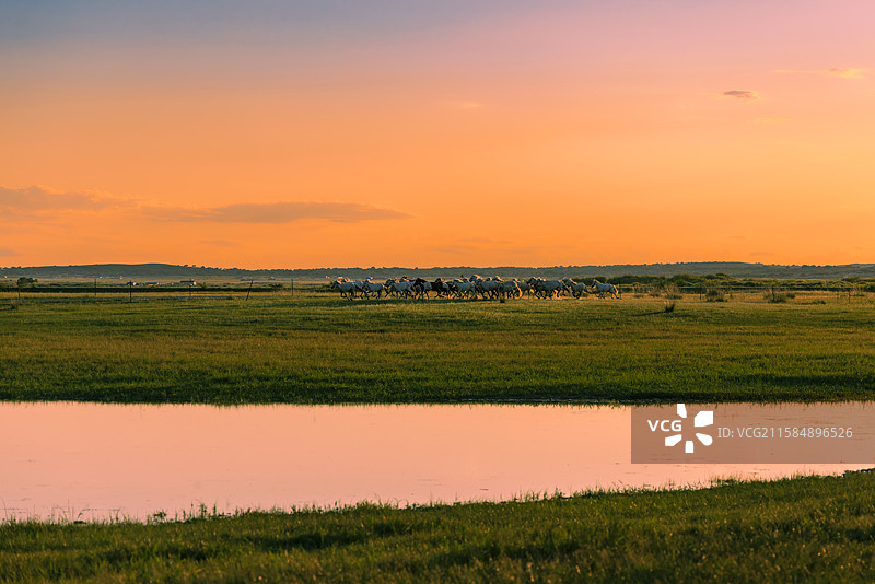傍晚的西乌珠穆沁草原图片素材