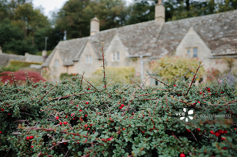 英国科茨沃尔德拜伯里BILBURY图片素材