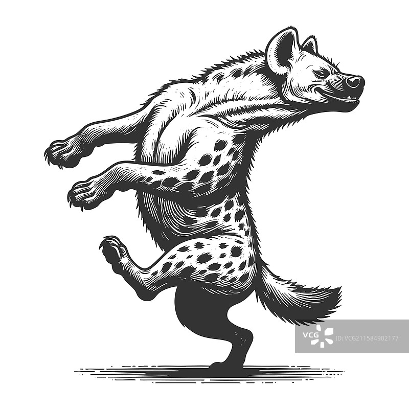 跳舞的土狼雕刻素描图片素材