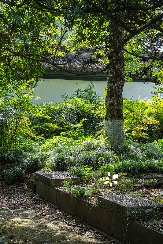 阳光下幽静的公园一角图片素材