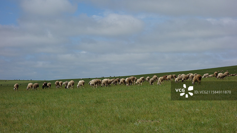 内蒙古自治区兴安盟阿尔山市七仙湖草原图片素材