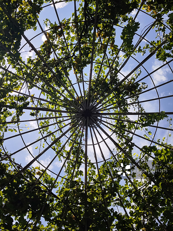 吐鲁番葡萄沟图片素材