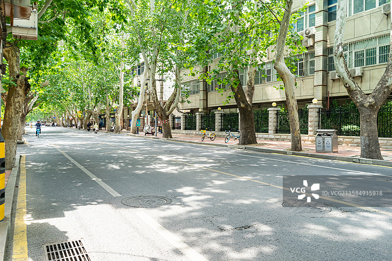 中国城市道路路拍摄主题，延伸的公路马路林荫大道和两侧绿色的法国梧桐树，户外白昼无人图像摄影图片素材