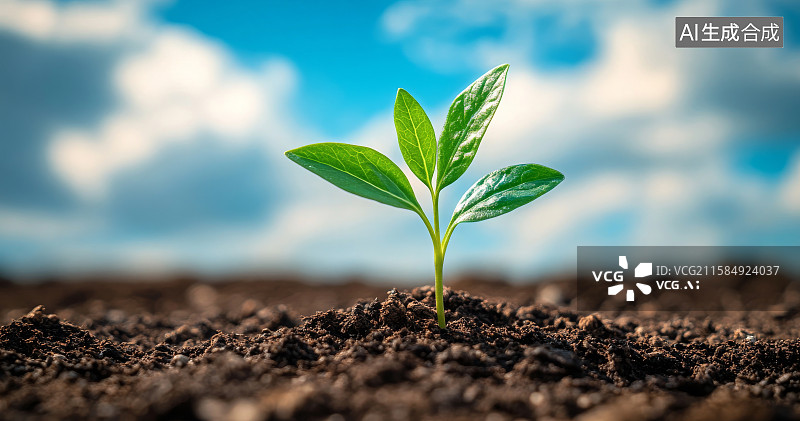 【AI数字艺术】土壤中生长的嫩绿植物图片素材