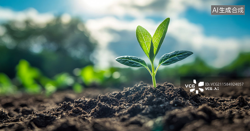 【AI数字艺术】土壤中生长的嫩绿植物图片素材