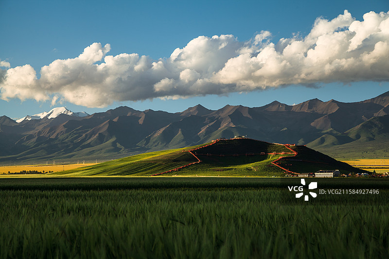 青海门源百里油菜花长廊观景平台与祁连雪山图片素材