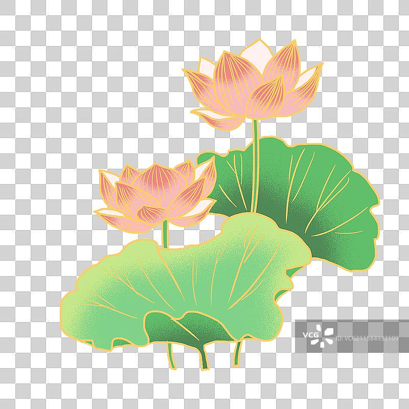 国潮风夏季荷花素材图片素材