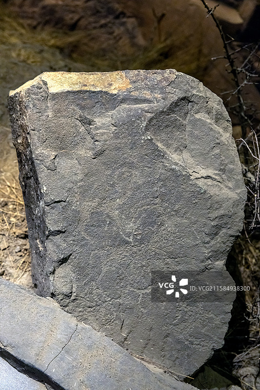 包头博物院北山羊汉代公元前206-公元220年巴彦淖尔市乌拉特中旗采集图片素材