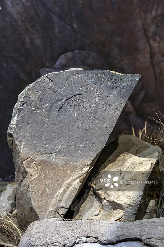 包头博物院猎狼春秋战国公元前770-前221年巴彦淖尔市乌拉特中旗采集图片素材