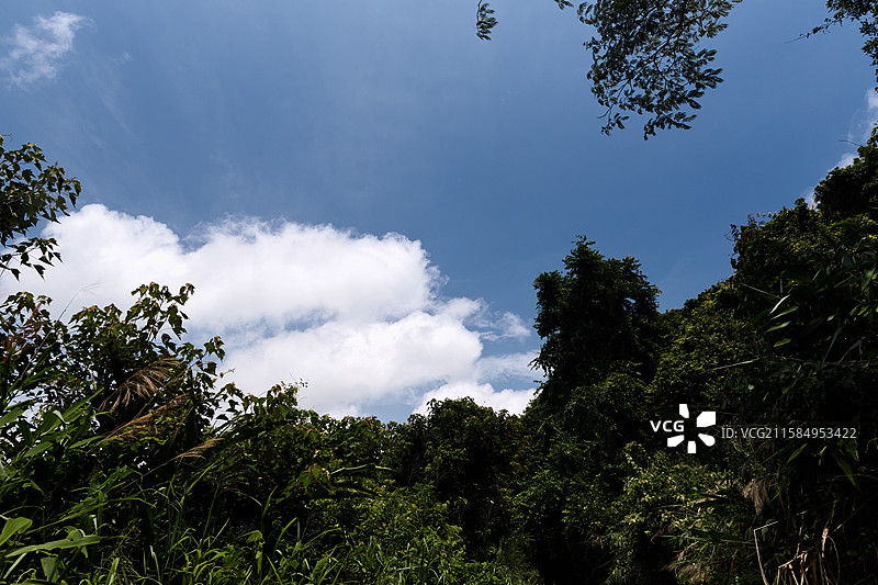 三亚风光白鹭公园临春岭森林公园凤凰岭森林公园图片素材