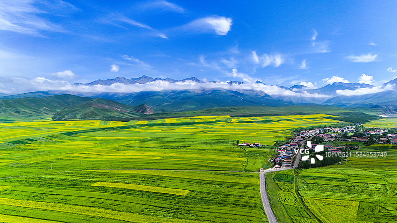 油菜花基地图片素材