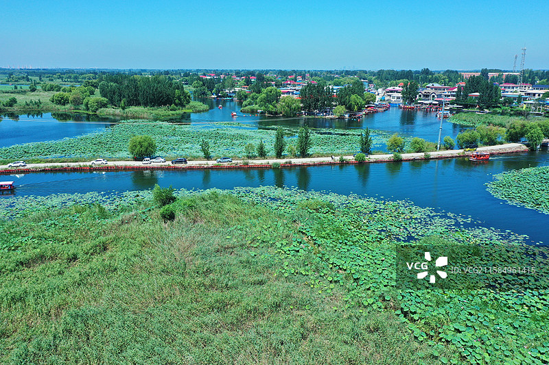 七彩流霞染碧塘，炊烟袅袅稻禾香  轻舟剪浪惊鸥远，锦鲤摇莲伴鹭翔  万顷芙蓉迎客笑，一川烟水醉心房图片素材