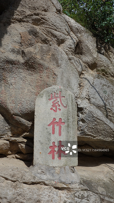 西安市长安区子午镇秦岭终南山世界地质公园南五台：紫竹林图片素材