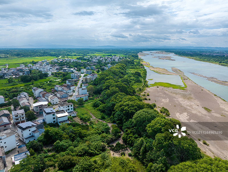 江西省抚州市金溪县浒湾镇洛城村抚河北岸的十里樟堤景点，绵延十余里尽是郁郁葱葱的古樟树和浓浓的乡愁记忆图片素材