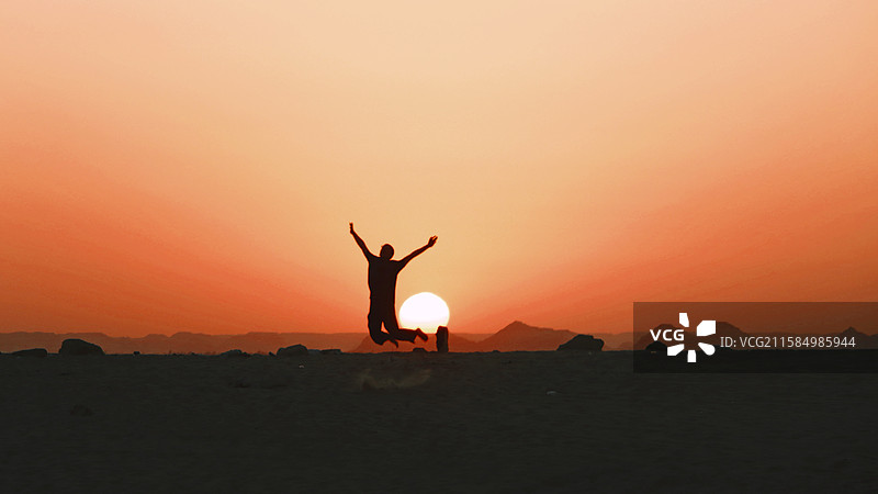 撒哈拉的生命力图片素材