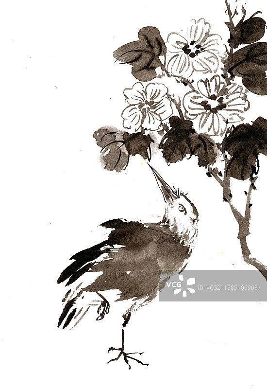 花下的小鸟图片素材