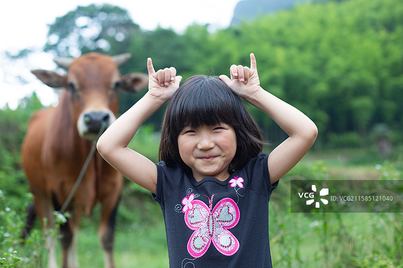 可爱小女孩与牛在乡村图片素材
