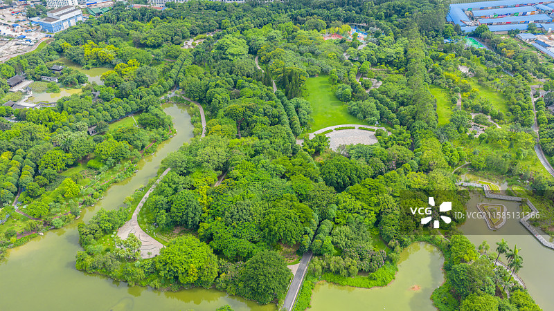广西南宁市花卉公园图片素材