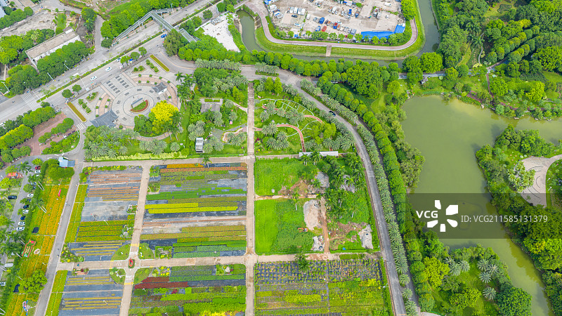广西南宁市花卉公园图片素材