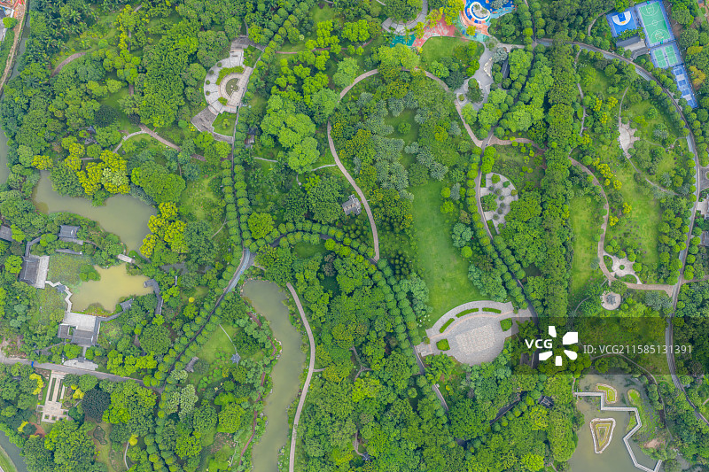 广西南宁市花卉公园图片素材