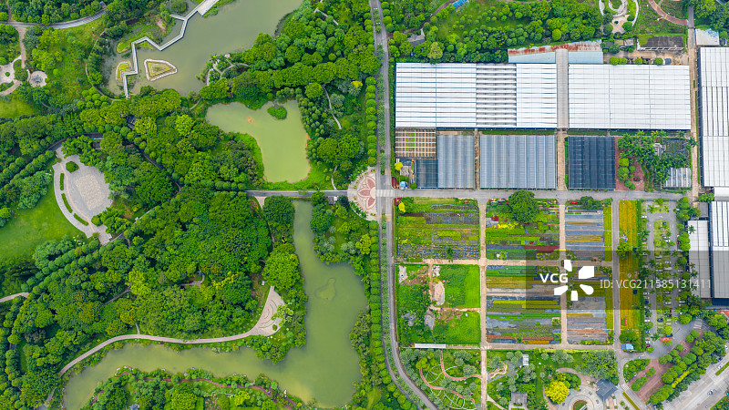 广西南宁市花卉公园图片素材