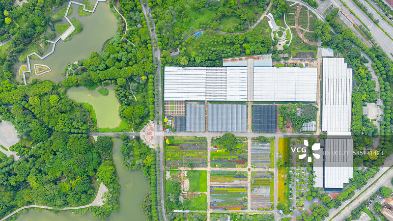 广西南宁市花卉公园图片素材