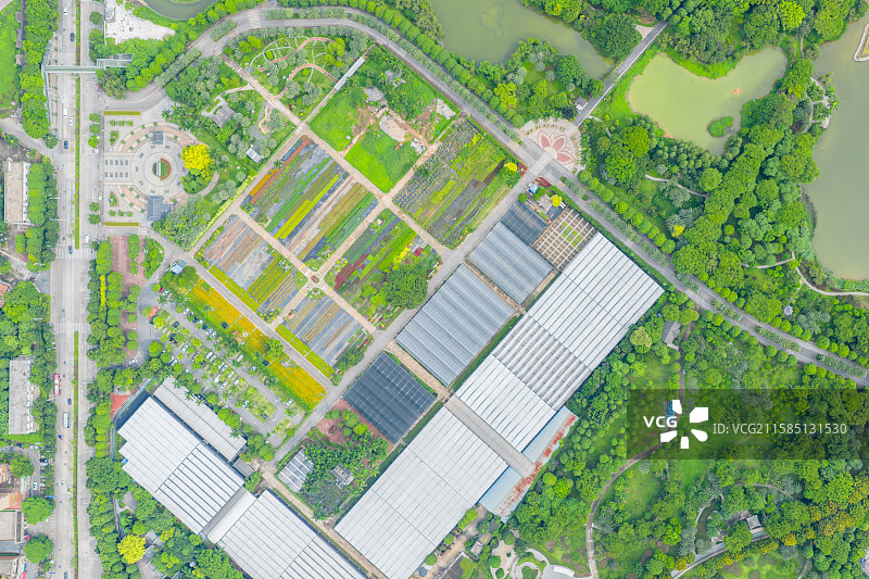 广西南宁市花卉公园图片素材