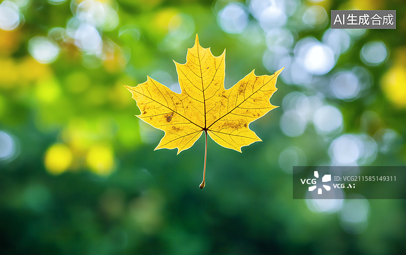 【AI数字艺术】金秋飘落的枫叶图片素材