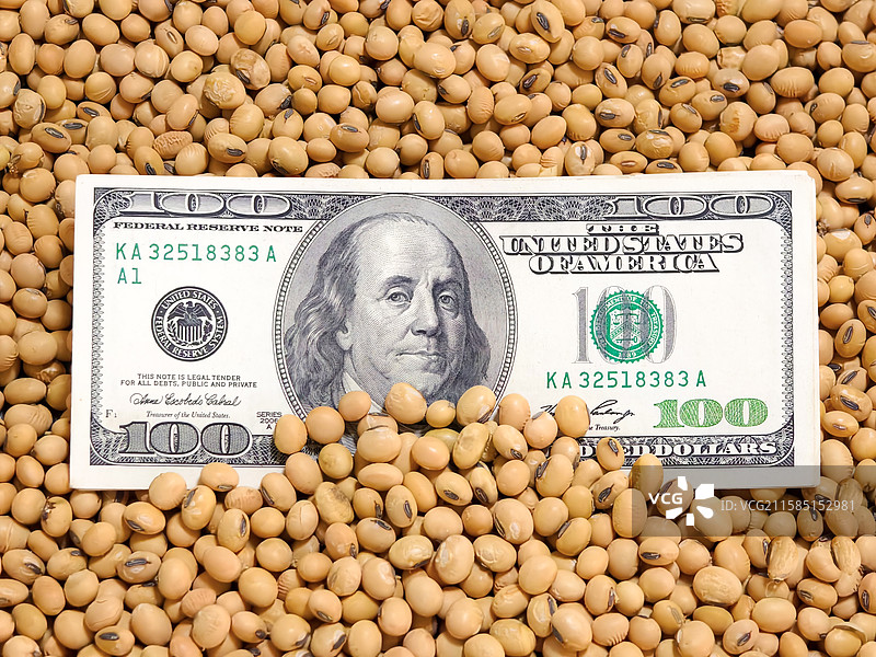 美国美元进出口大豆图片素材
