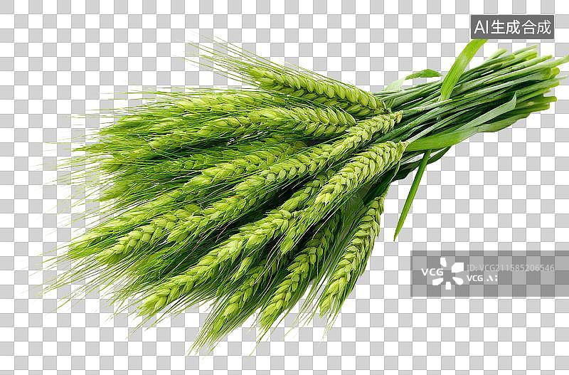 【AI数字艺术】新鲜绿色麦穗与长叶图片素材